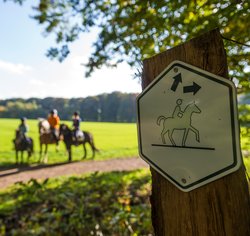 Schild Münsterland Reitroute