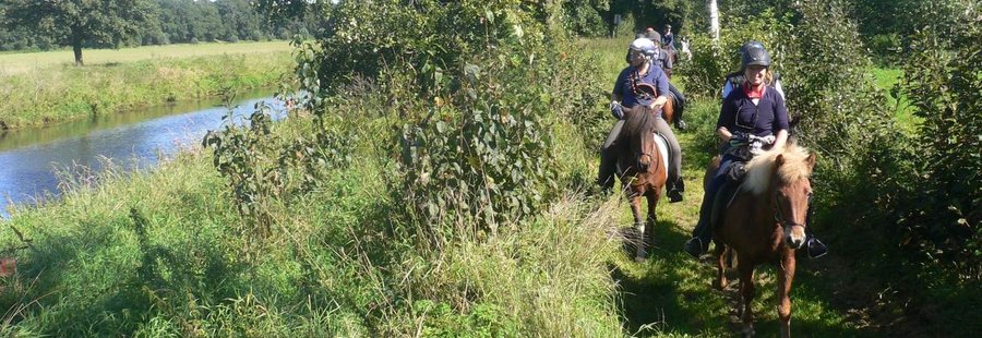 Naturbelassener Weg an der Ems