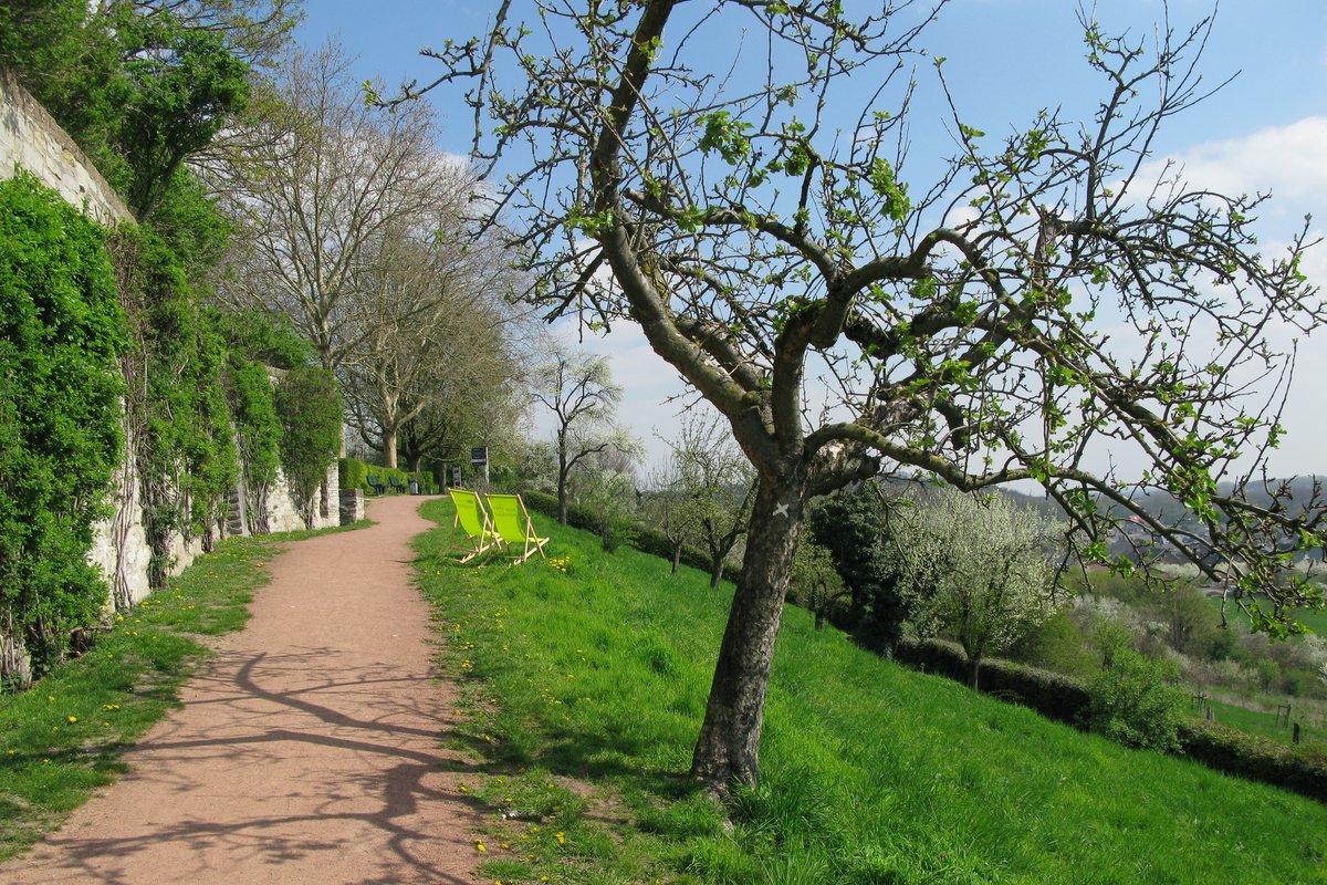 Burgmauer Höhenburg Stromberg