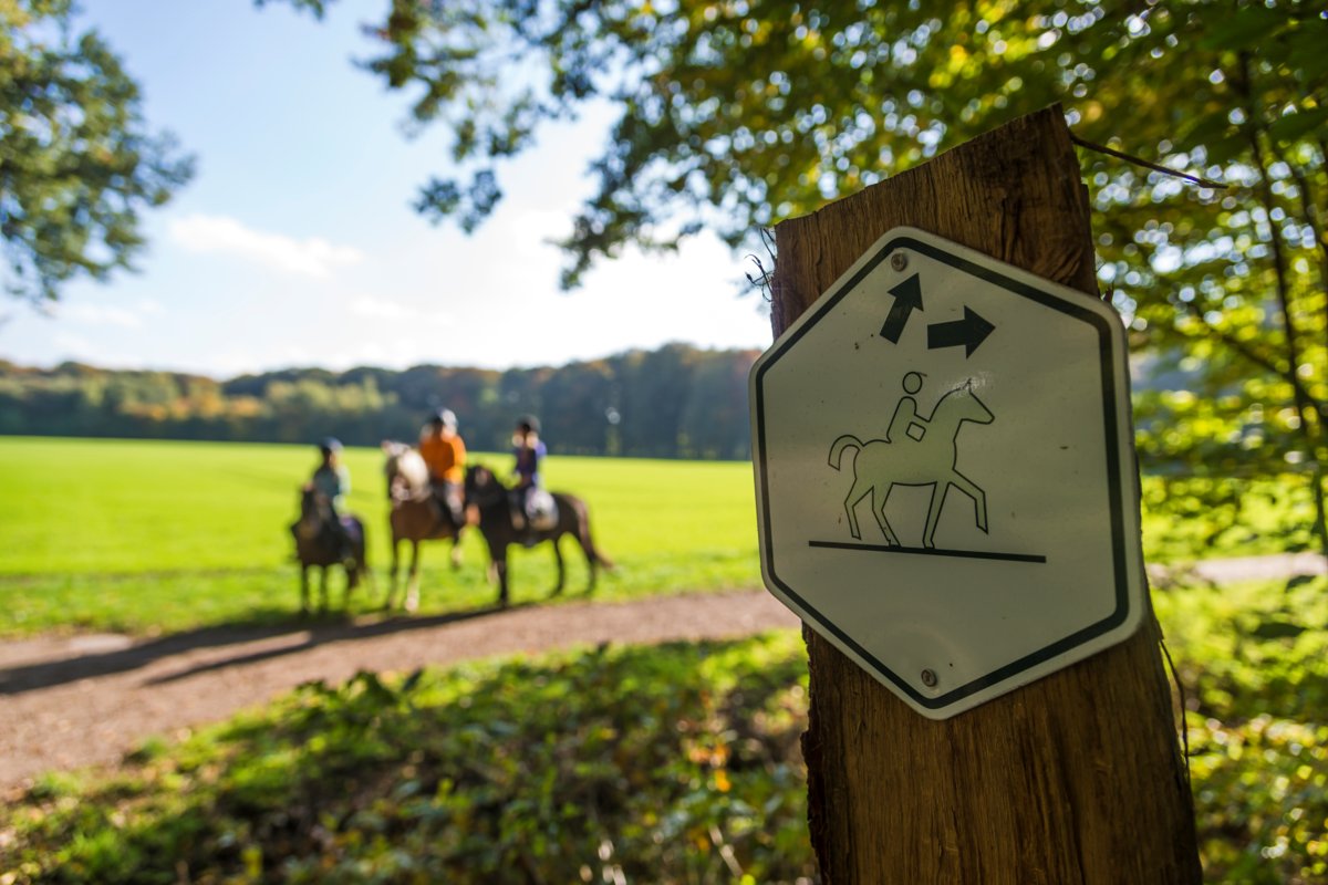 Schild Münsterland-Reitroute