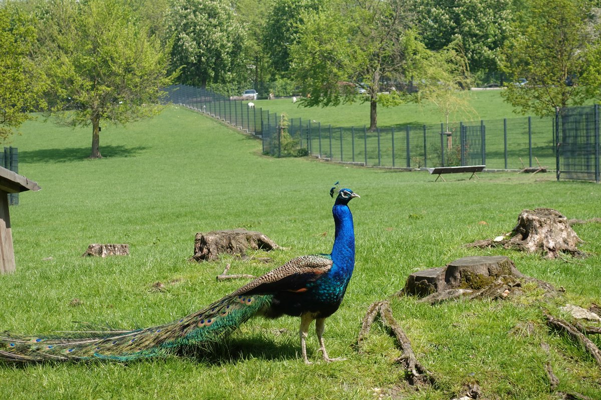 Tiergehege Höxberg