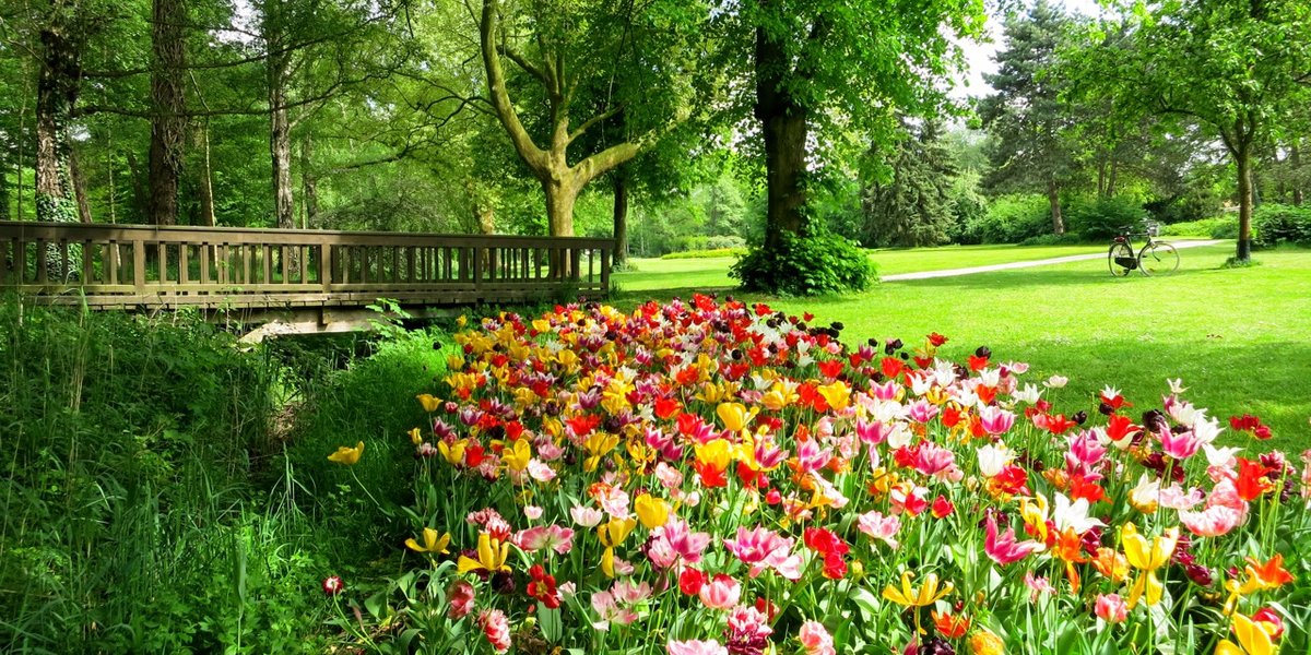 Frühling am Emssee in Warendorf