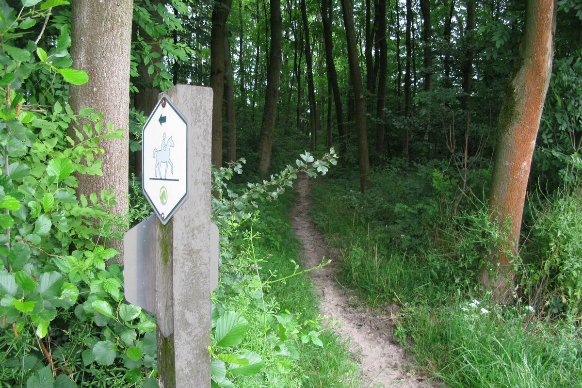 Münsterland-Reitroute bei Beckum