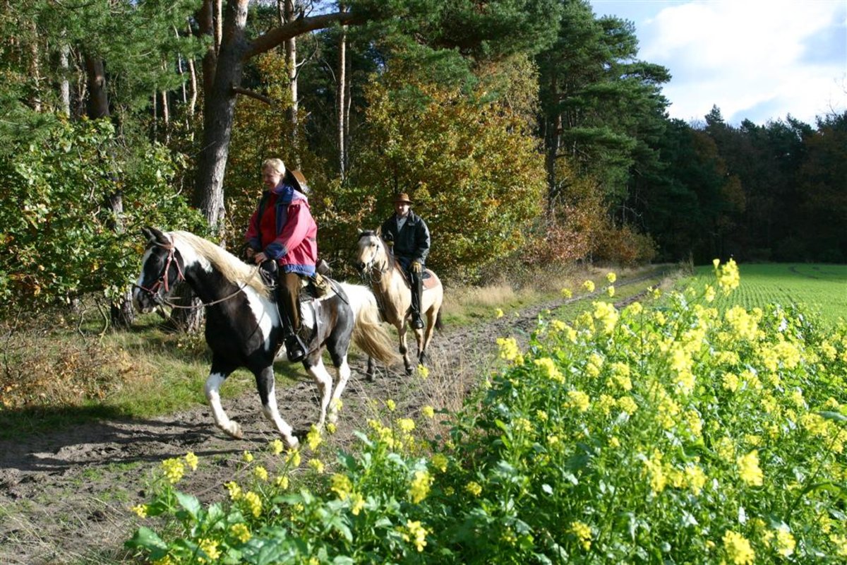 Auf der Warendorfer Reitroute in Sassenberg