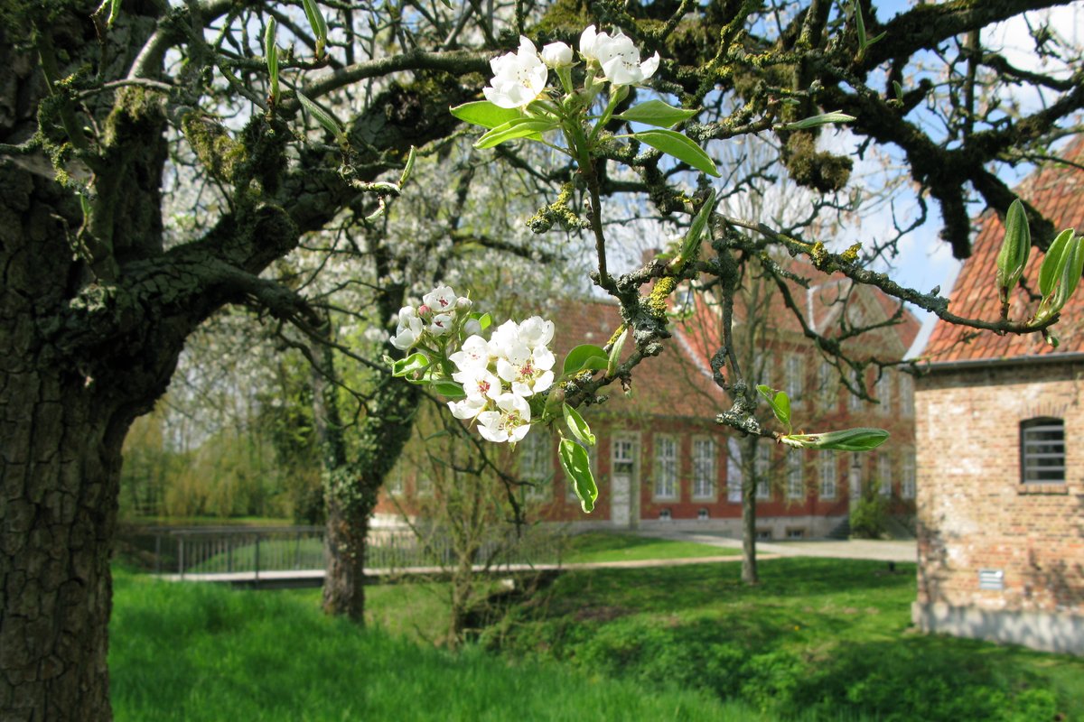 Obestblüte Haus Nottbeck