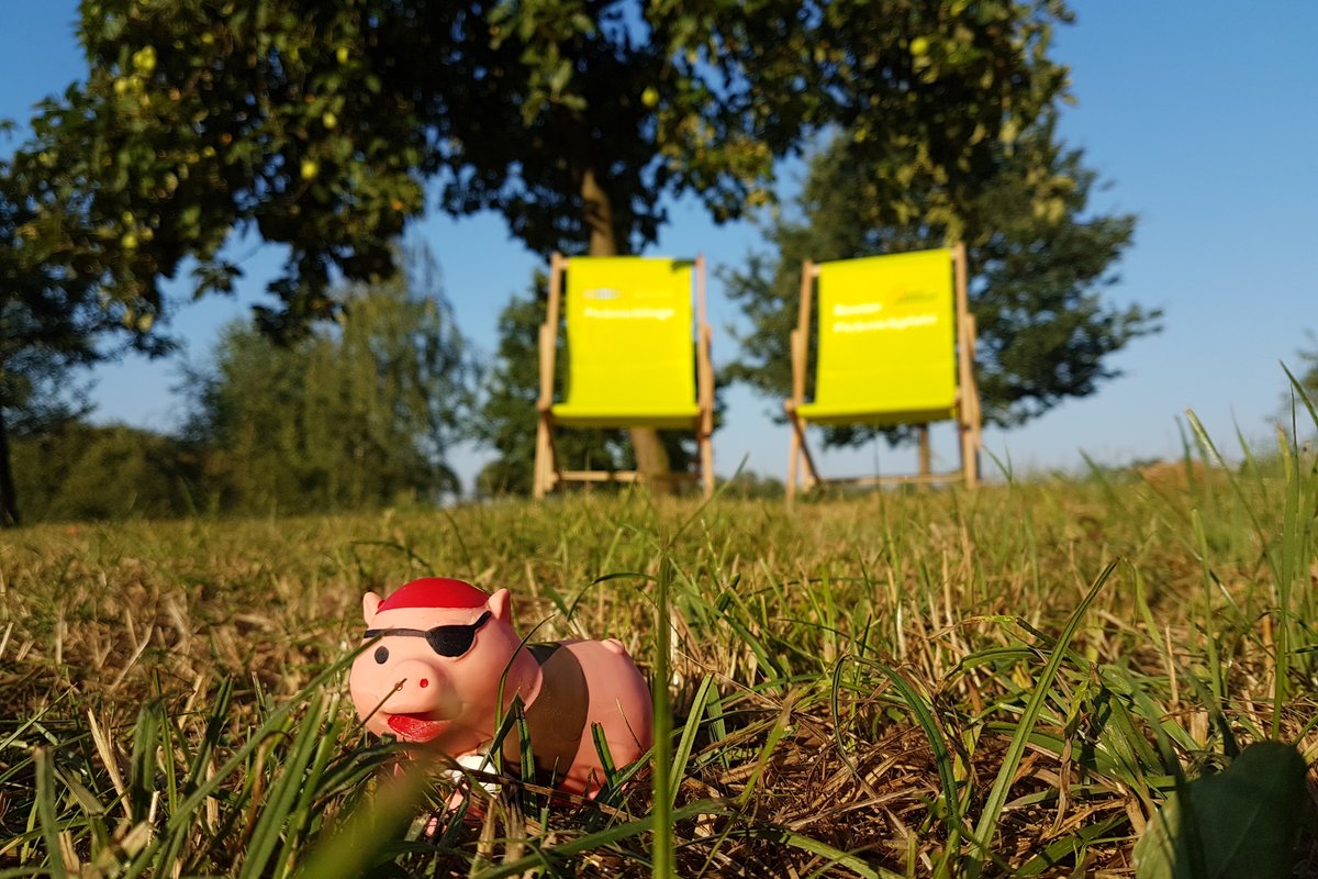 Waldräuberspielplatz Parklandschaft Kreis Warendorf