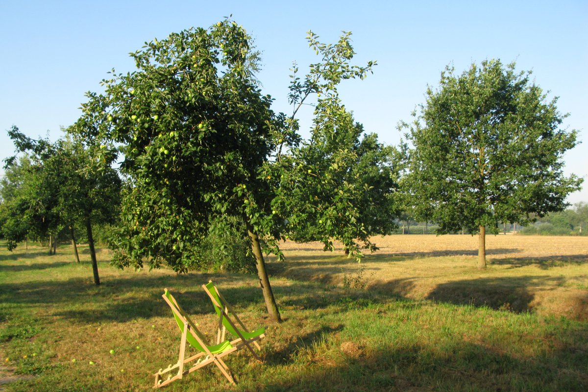 Waldräuberspielplatz Alverskirchen