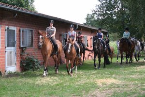 Boxen auf dem Ferienhof Buddenkotte