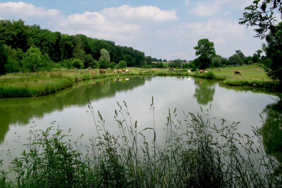 Münsterland-Reitroute im Liebestal, Ennigerloh