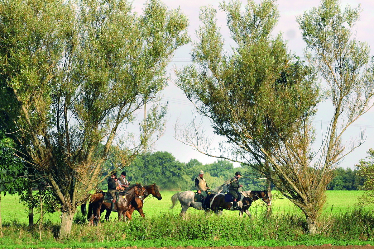 Reitweg an der Ems in Warendorf