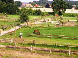 Reiten und Fahren Hof Schulze Hobbeling