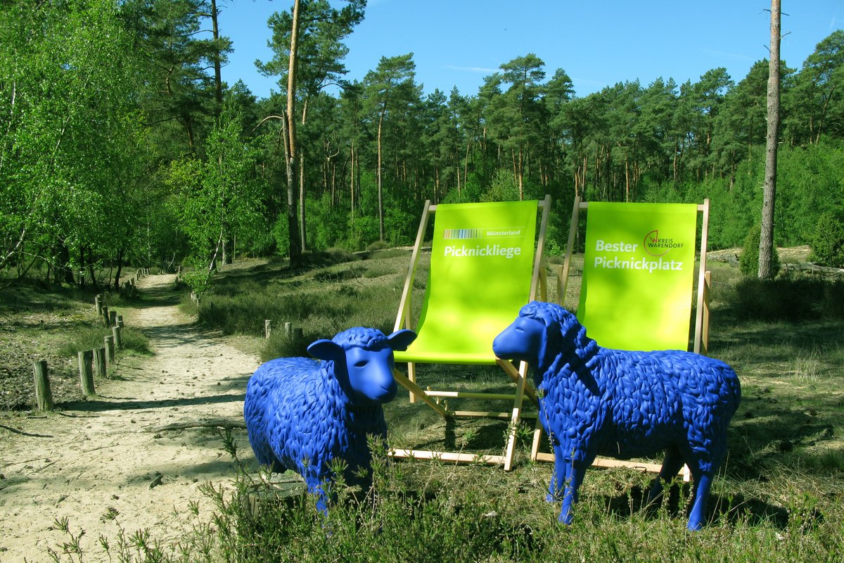 Wacholderheide Parklandschaft Kreis Warendorf