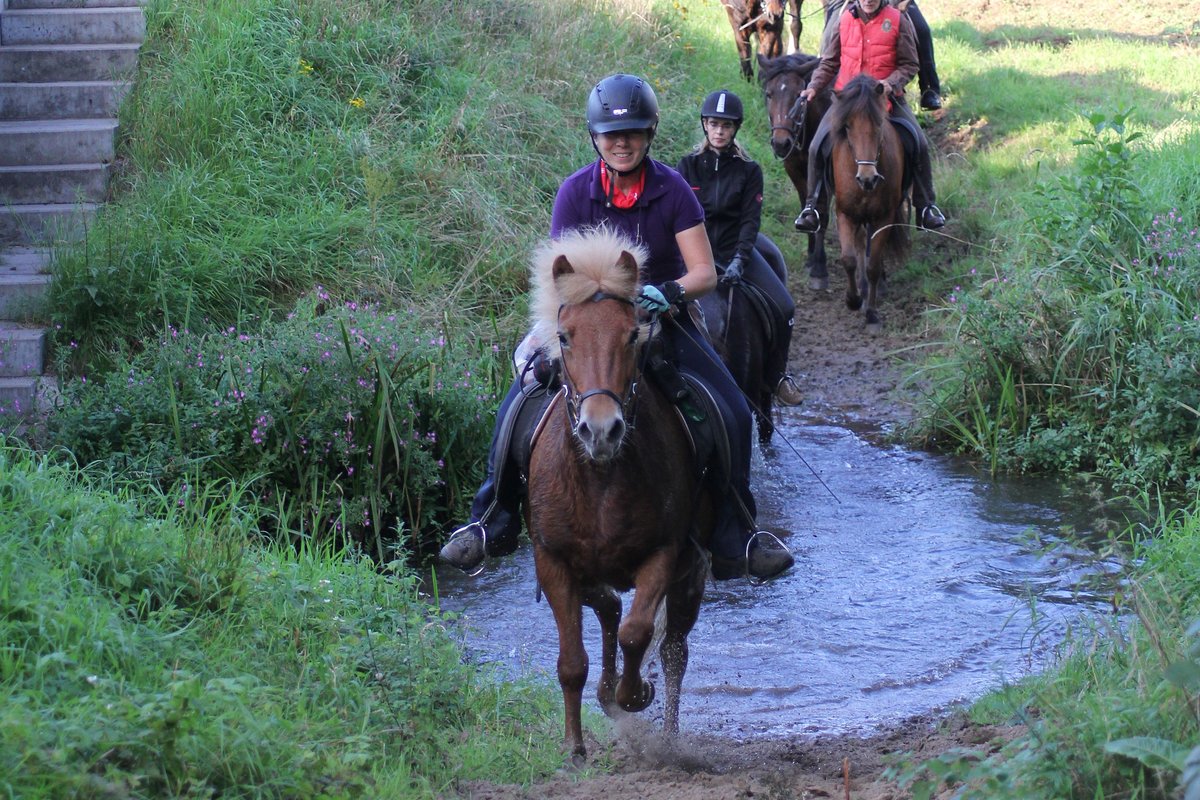 Furt an der Münsterland-Reitroute in Warendorf