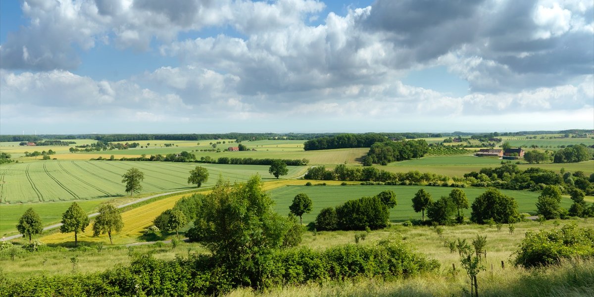 Münsterländer Parklandschaft genießen