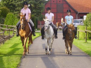 Reiter am Josephshof