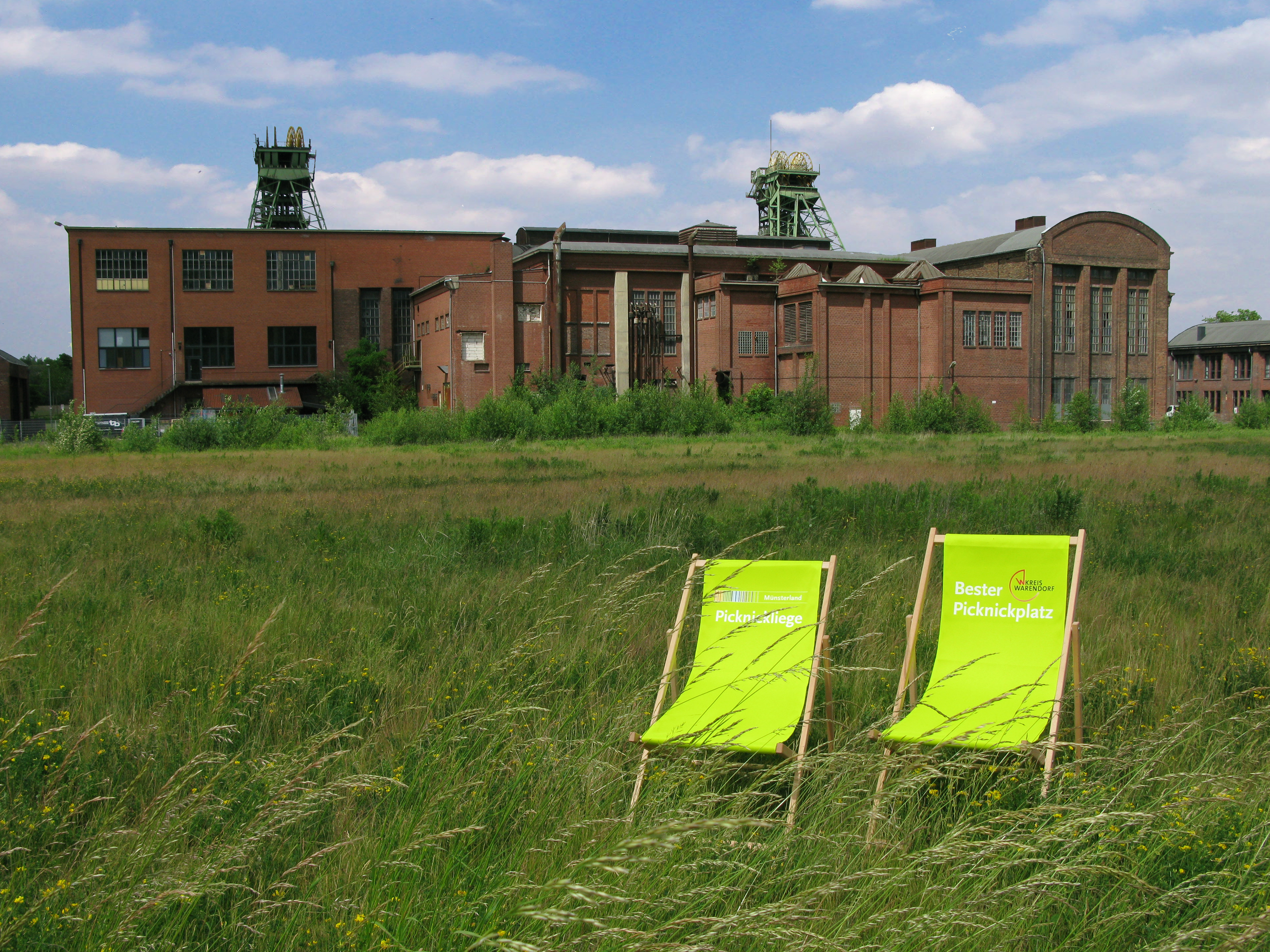 Singleborse kreis warendorf